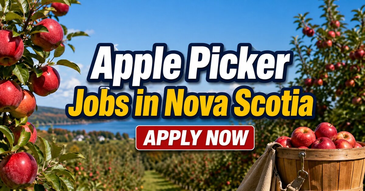 Apple Picker Jobs in Nova Scotia